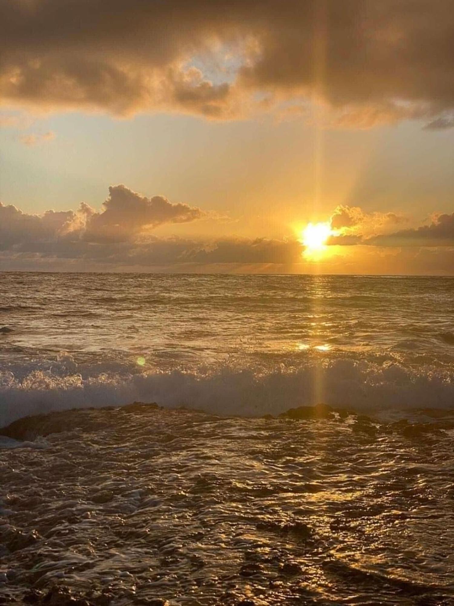 فندق Chez Tamatuamai أفاتورو المظهر الخارجي الصورة